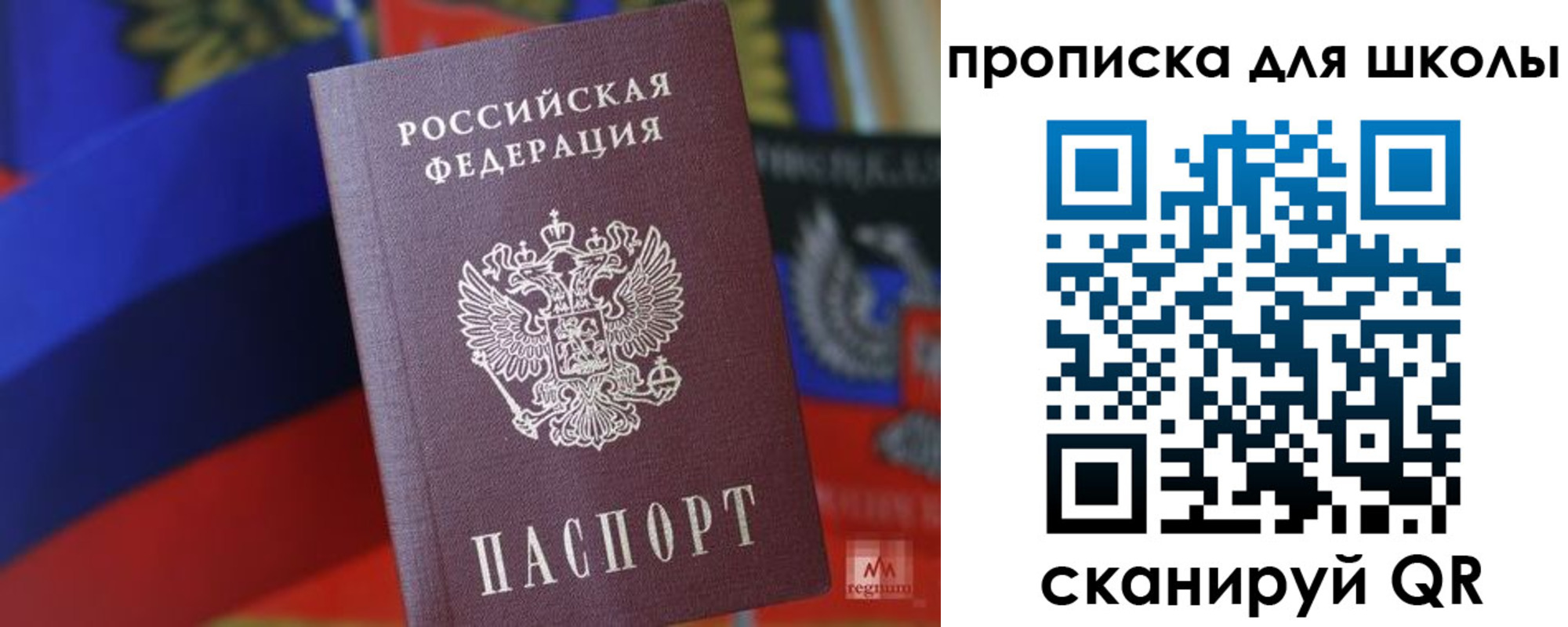 прописка ребенка в Пионерском